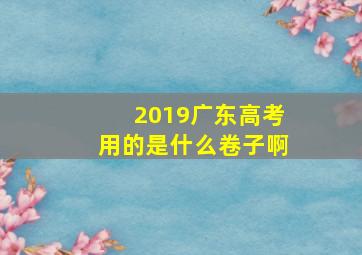 2019广东高考用的是什么卷子啊