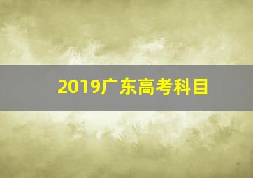 2019广东高考科目