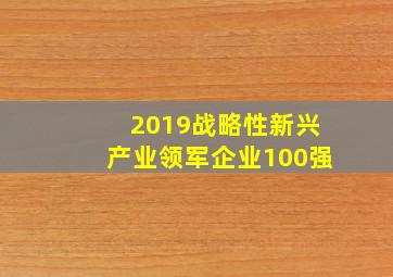 2019战略性新兴产业领军企业100强