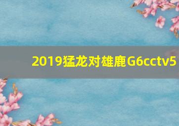 2019猛龙对雄鹿G6cctv5