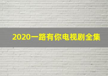 2020一路有你电视剧全集