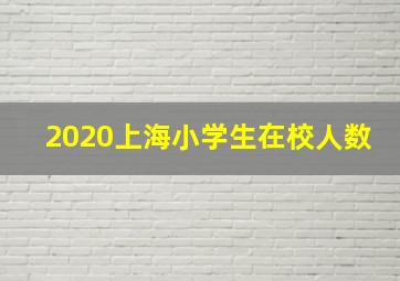 2020上海小学生在校人数