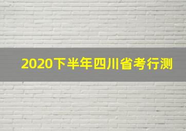 2020下半年四川省考行测