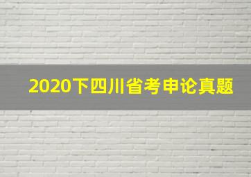 2020下四川省考申论真题