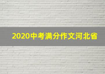 2020中考满分作文河北省