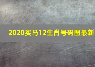 2020买马12生肖号码图最新