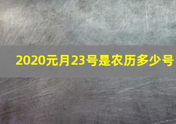 2020元月23号是农历多少号