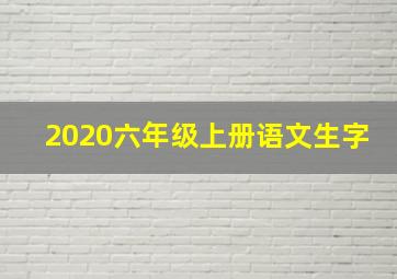 2020六年级上册语文生字