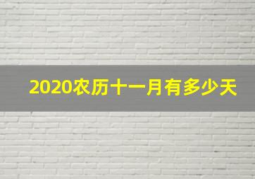 2020农历十一月有多少天