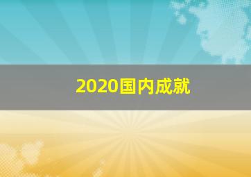 2020国内成就