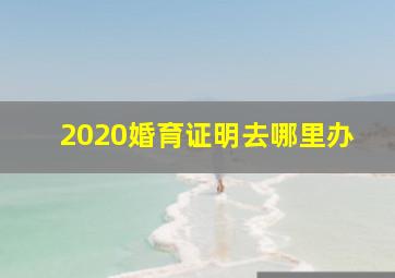 2020婚育证明去哪里办