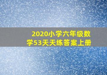 2020小学六年级数学53天天练答案上册