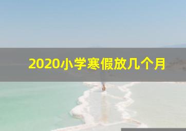 2020小学寒假放几个月