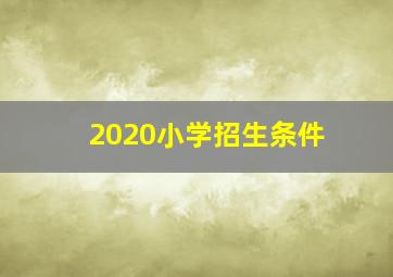 2020小学招生条件