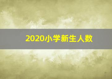 2020小学新生人数