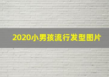 2020小男孩流行发型图片