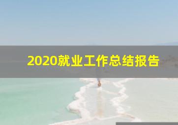 2020就业工作总结报告