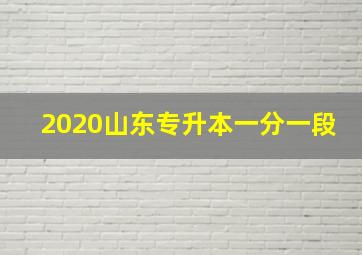 2020山东专升本一分一段