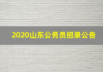 2020山东公务员招录公告