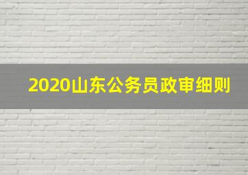 2020山东公务员政审细则