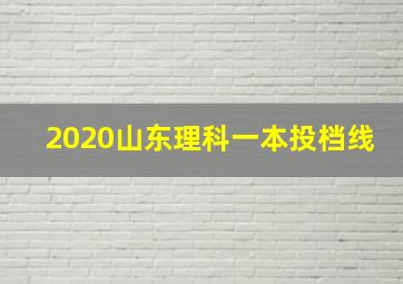 2020山东理科一本投档线