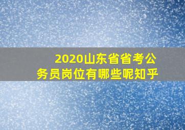 2020山东省省考公务员岗位有哪些呢知乎