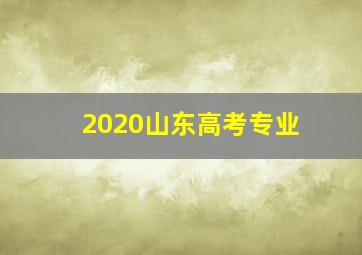 2020山东高考专业