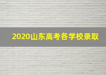 2020山东高考各学校录取