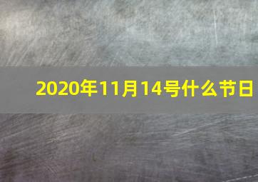 2020年11月14号什么节日