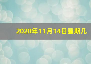 2020年11月14日星期几