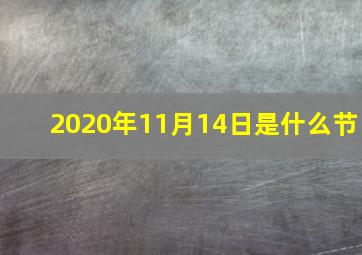 2020年11月14日是什么节