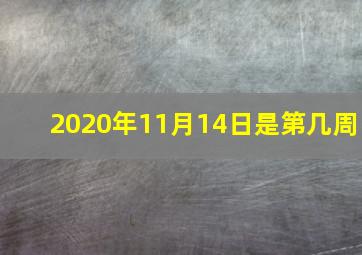 2020年11月14日是第几周