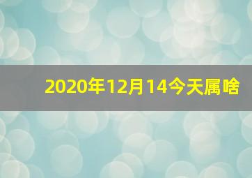 2020年12月14今天属啥