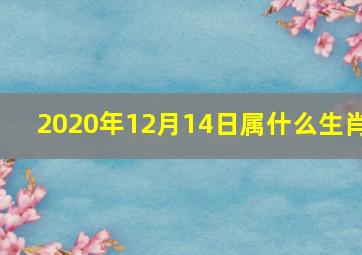 2020年12月14日属什么生肖