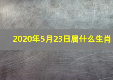 2020年5月23日属什么生肖