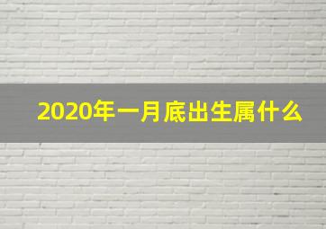 2020年一月底出生属什么