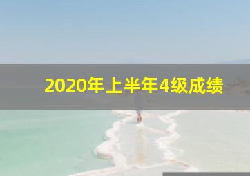 2020年上半年4级成绩