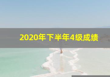 2020年下半年4级成绩