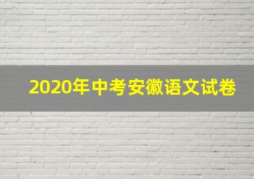 2020年中考安徽语文试卷