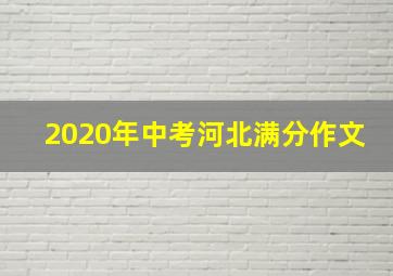 2020年中考河北满分作文