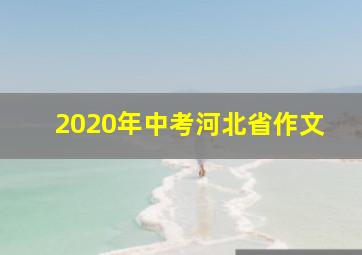 2020年中考河北省作文