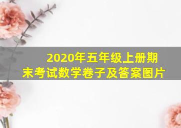 2020年五年级上册期末考试数学卷子及答案图片