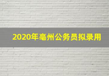 2020年亳州公务员拟录用