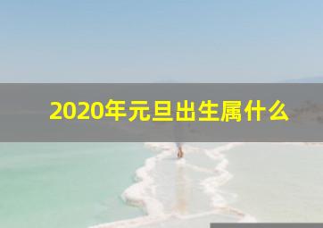 2020年元旦出生属什么