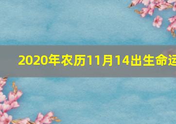 2020年农历11月14出生命运