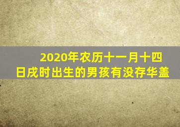 2020年农历十一月十四日戌时出生的男孩有没存华盖