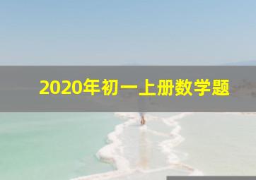 2020年初一上册数学题