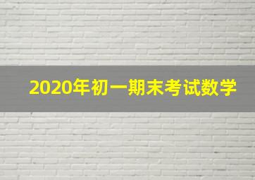 2020年初一期末考试数学