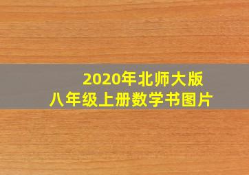 2020年北师大版八年级上册数学书图片