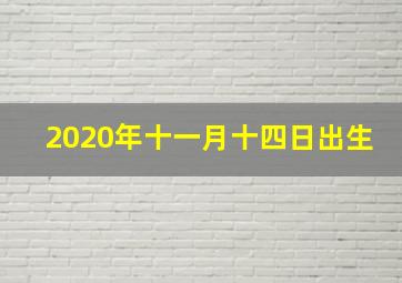 2020年十一月十四日出生